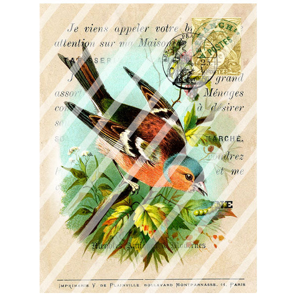 Antique Print 44 Paris Paper Print Antique Print 44 Paris Paper Print