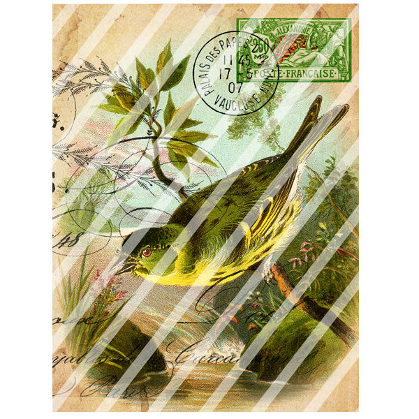 Antique Style 1707 Francaise Paper Print Antique Style 1707 Francaise Paper Print