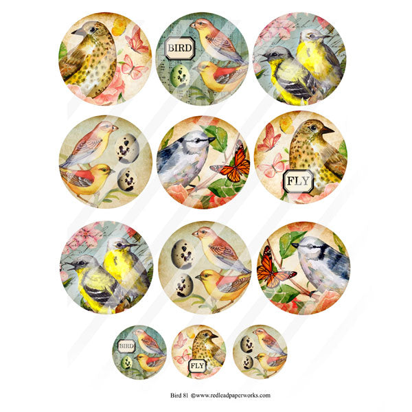 Bird Artist Trading Coins Collage Sheet 81