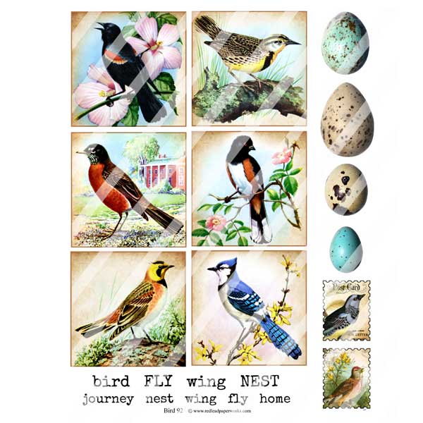 Bird 92 Collage Sheet