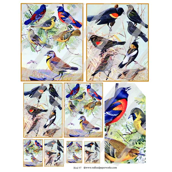 Bird 97 Collage Sheet