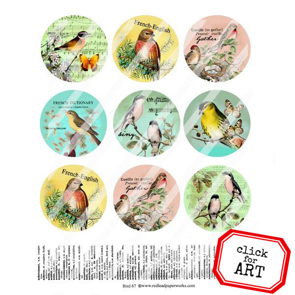 Bird Artist Trading Coins Collage Sheet 67