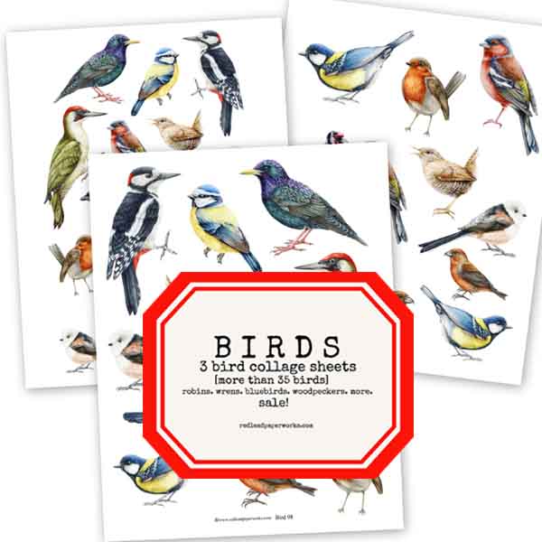 Bird Collection 3 Bird Collage Sheets SALE!