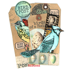 Blue Jay Bird Rubber Stamp