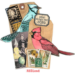 Blue Jay Bird Rubber Stamp