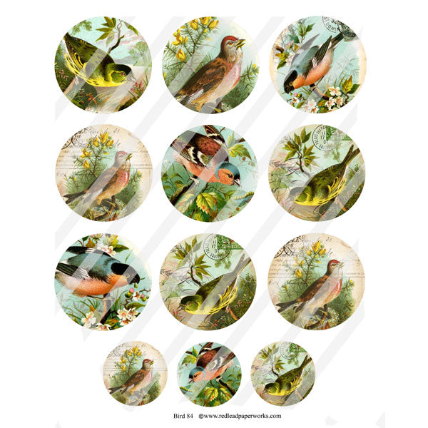 Artist Trading Coins Bird Circles Collage Sheet 84