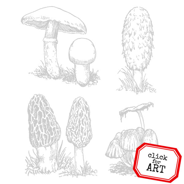 Woodland Mushrooms Rubber Stamp