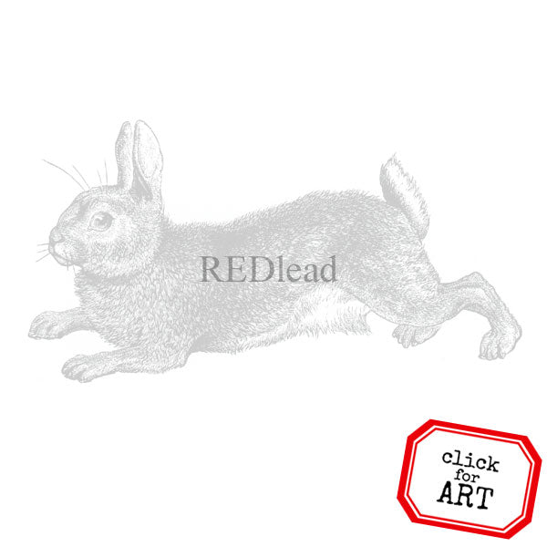 Garden Rabbit Rubber Stamp