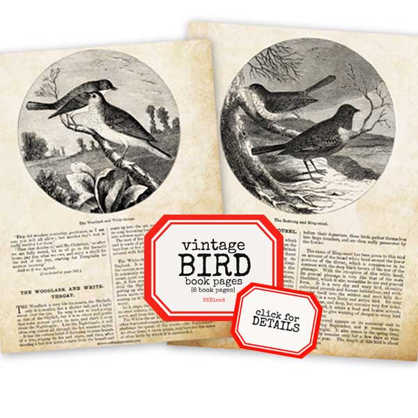 Vintage Bird Book Pages Paper Pack