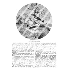 Vintage Birds Book Pages