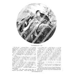 Vintage Birds Book Pages