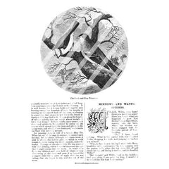 Vintage Birds Book Pages