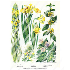 vintage elements flowers collage sheet