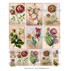 Vintage Elements 385 ATC Flower Collage Sheet