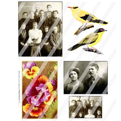 Vintage Elements 461