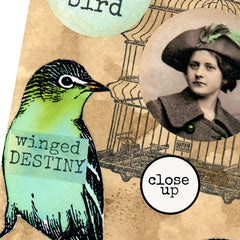 Birds on Branches Rubber Stamp