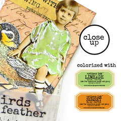 A Bird Will Not Fly Wood Mount Rubber Stamp SAVE 15%