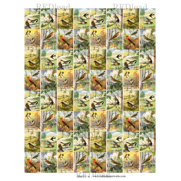 Bird 33 Collage Sheet