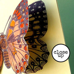 close up of butterfly card