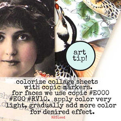 Vintage Elements 381 Flowers and Pretty Faces Collage Sheet