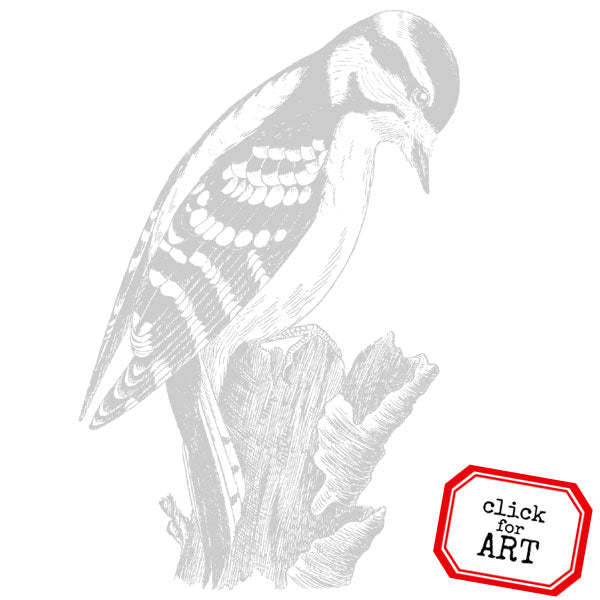 Large Woodpecker Bird Rubber Stamp