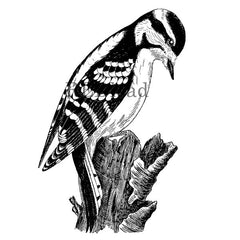 woodpecker bird rubber stamp