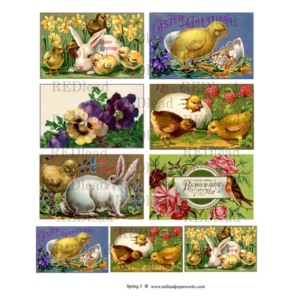 Spring Collage Sheet 5