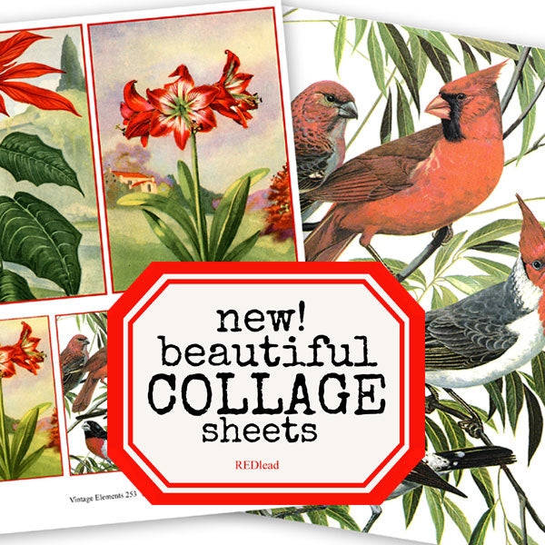 Beautiful New Collage Sheets
