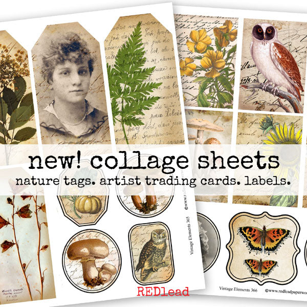 New Vintage Elements Nature  Collage Sheets