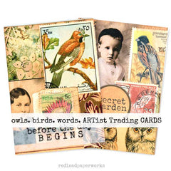 Artist Trading Cards Collage of vintage-style trading cards featuring birds, owls, 