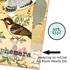 Collage of vintage-style bird illustration and text with 'ephemera' and 'stamping on vellum Jet Black StazOn Ink' text.