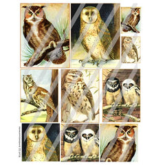 Bird 111 Vintage Owls Collage Sheet