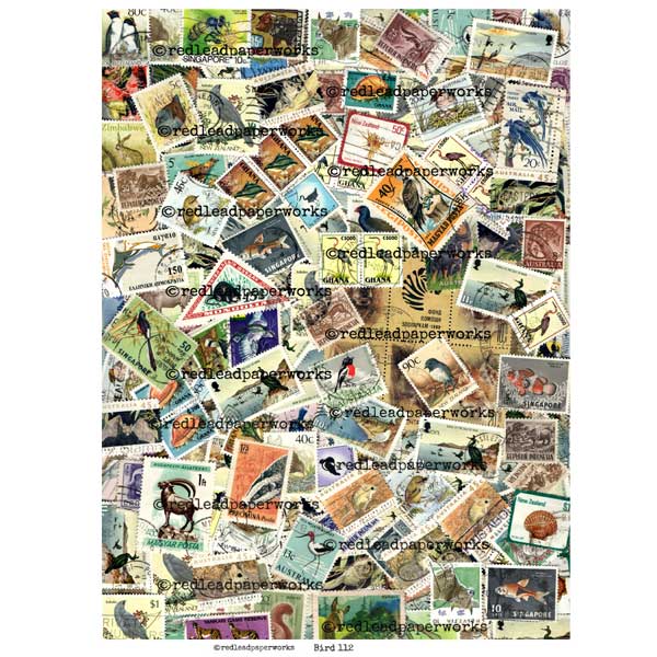 Bird 112 Bird Postage Stamps Collage Sheet