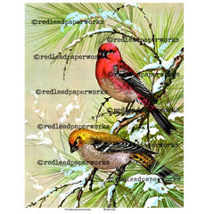 2 Winter Birds Collage Sheet
