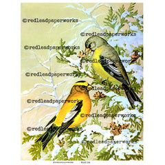 Yellow Winter Birds Frameable Collage Sheet