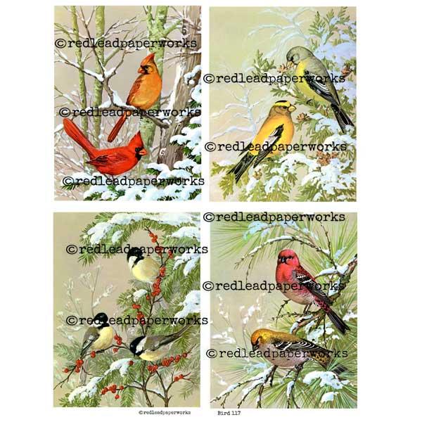 Collage Sheet Bird 117 Bird Art Making Collage Sheet