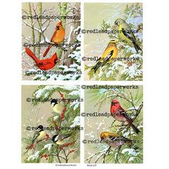 Collage Sheet Bird 117 Bird Art Making Collage Sheet