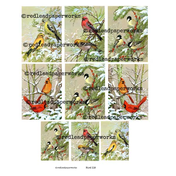Collage Sheet Bird 118 Artist Trading Cards Collage Sheet