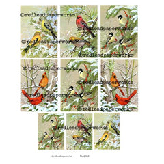 Collage Sheet Bird 118 Artist Trading Cards Collage Sheet