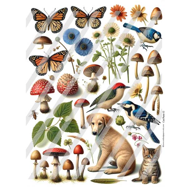Cut and Paste 12 Collage Sheet Save 40%