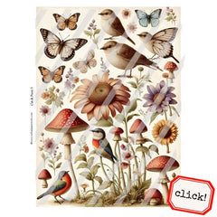Cut and Paste 5 Collage Sheet Save 40%