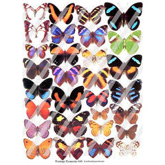 Vintage Elements Forest Butterflies Collage Sheet