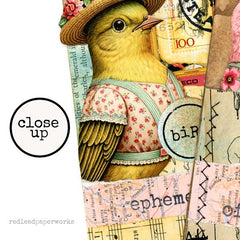 Rubber Stamped Mixed Media Bird Paper Doll Collage Sheets