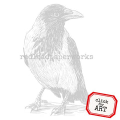 Raven Bird Cling Mount Halloween Rubber Stamp