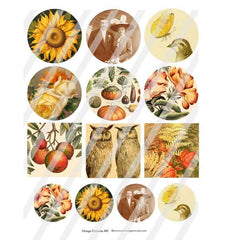 Vintage Elements Autumn Collage Sheet 495