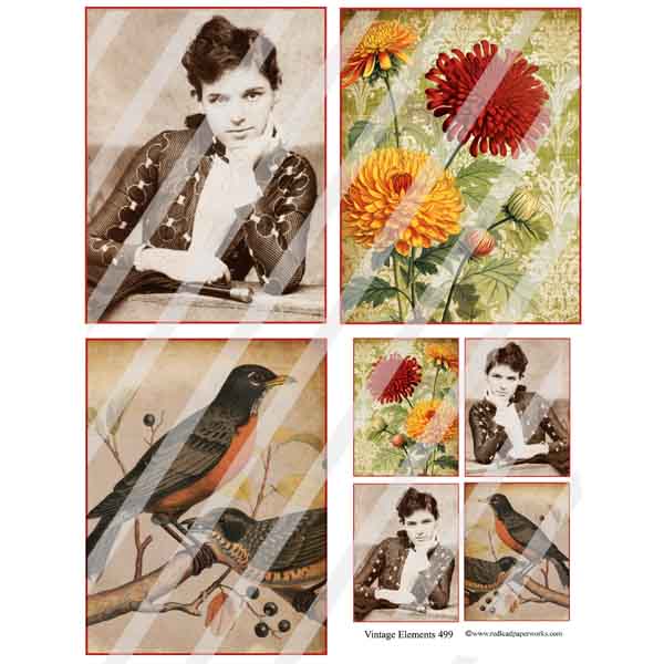Red Lead Vintage Elements Autumn Collage Sheets 