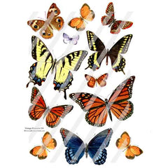 Vintage Elements 530 Butterfly Collage Sheet