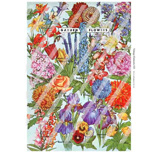 Vintage Elements 533 Garden Flowers Collage Sheet