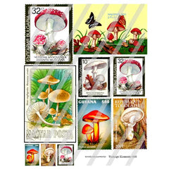 Vintage Elements 646 Mushroom Postage Collage Sheet