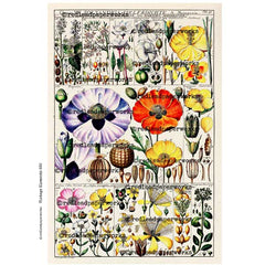 Antique Botanical Collage Sheet